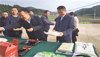 市委常委、政法委書記劉波濤帶隊(duì)調(diào)研指導(dǎo)定點(diǎn)幫扶村鄉(xiāng)村振興工作